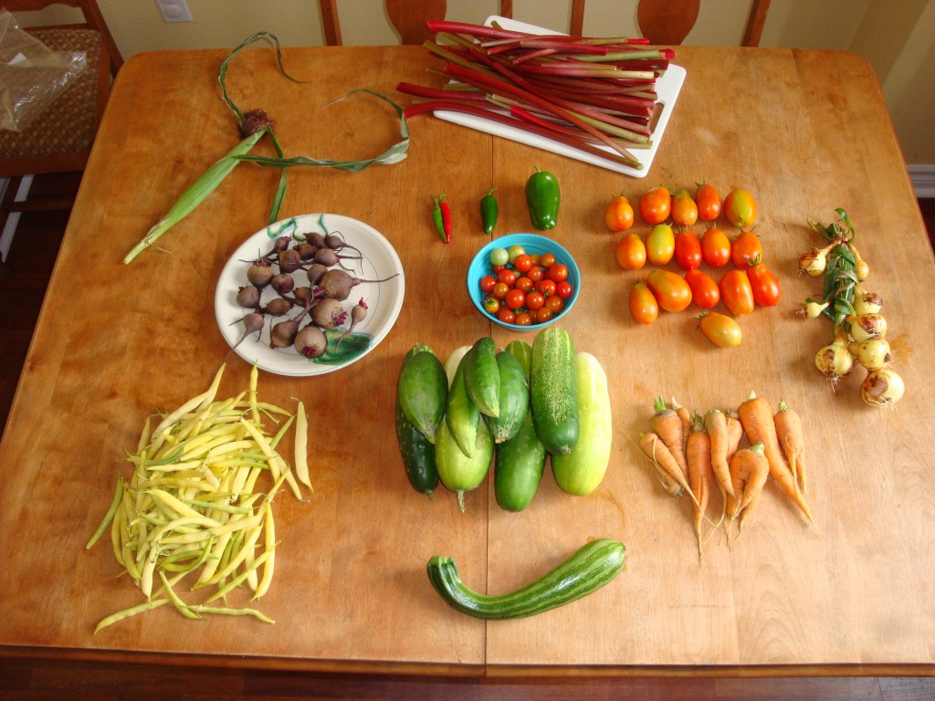 Harvest