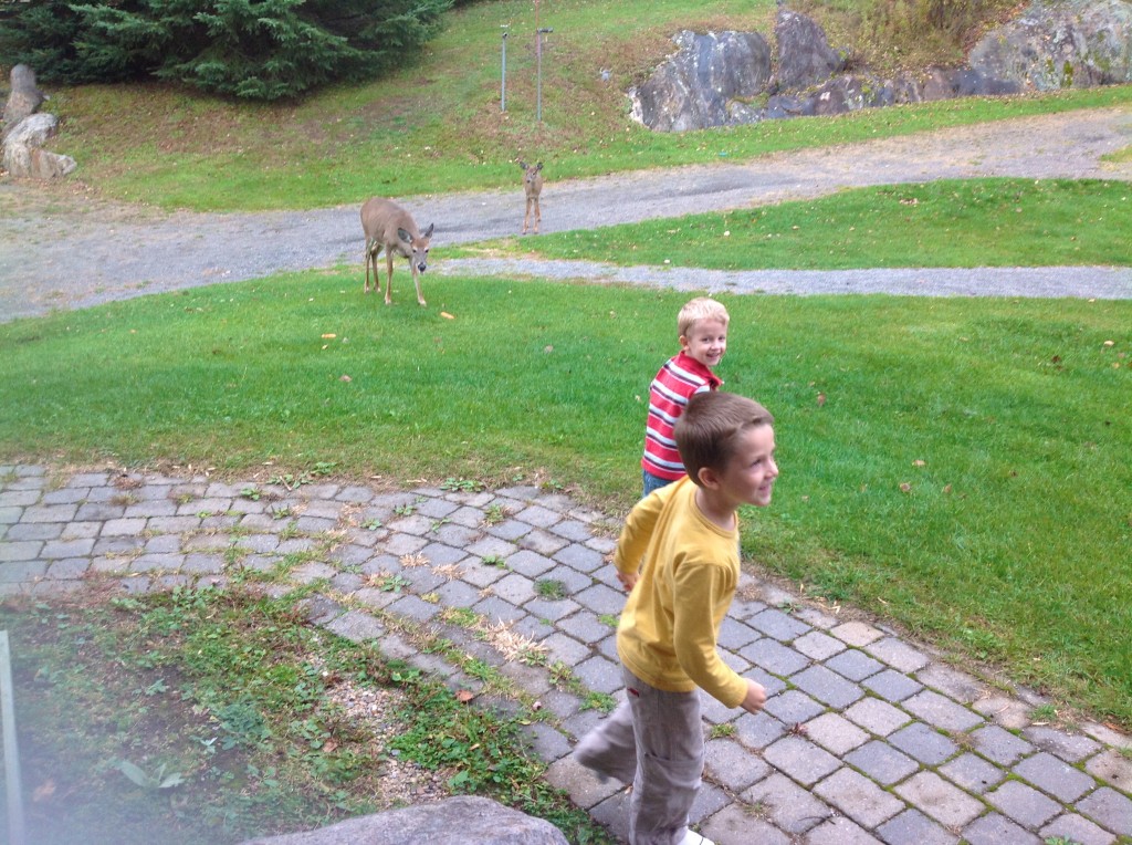 De la visite au Mont Tremblant.