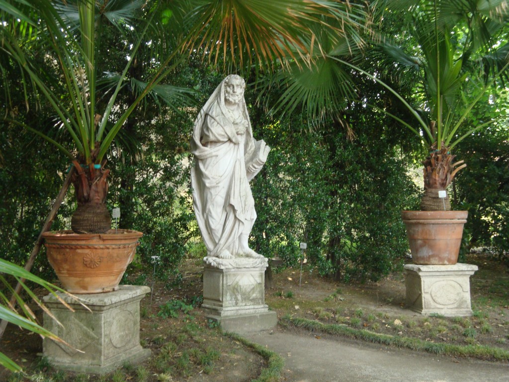DSC06759
