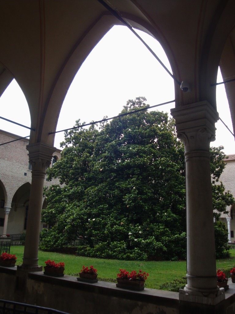 DSC06800