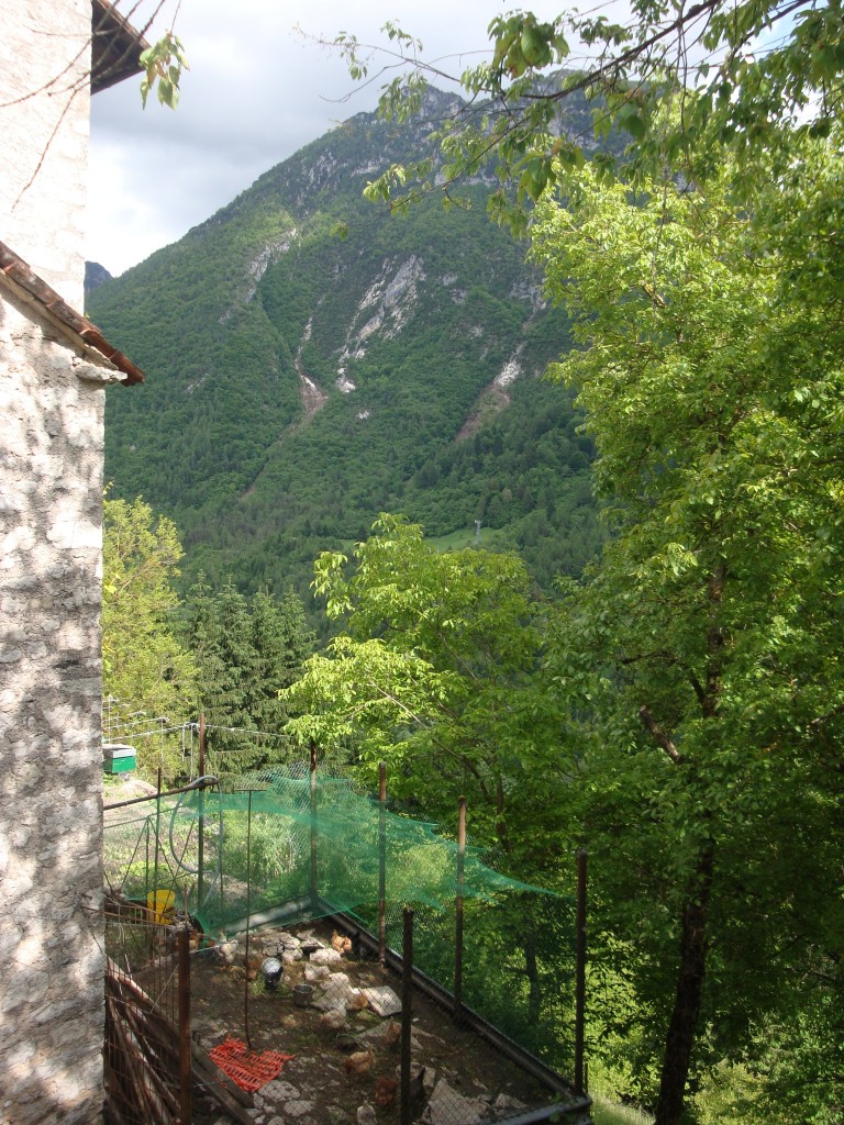 DSC06888