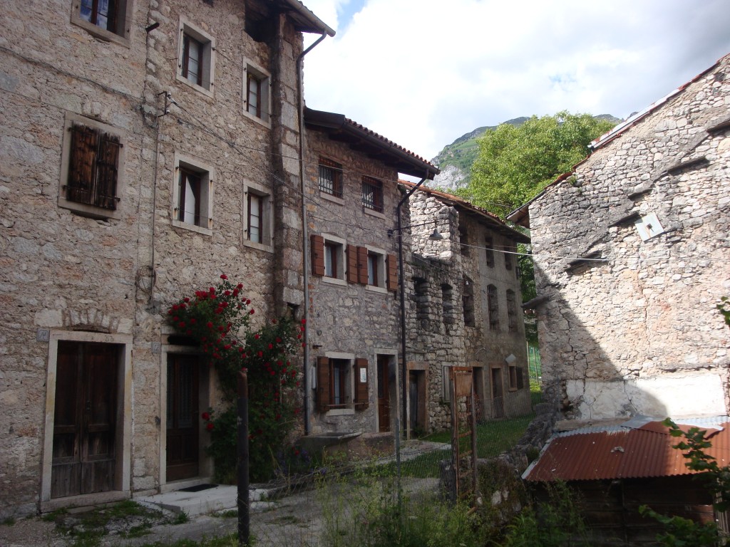 DSC06901